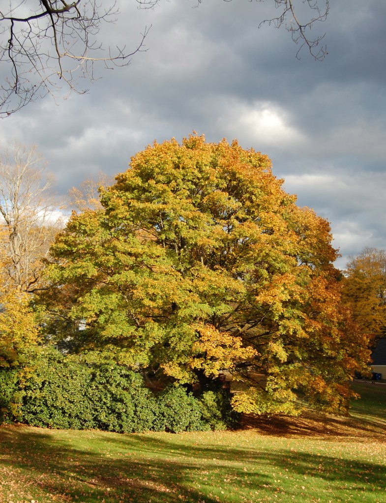 The Changing of the Seasons