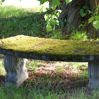moss covered stone bench