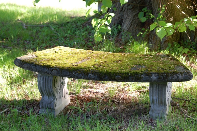 moss covered stone bench